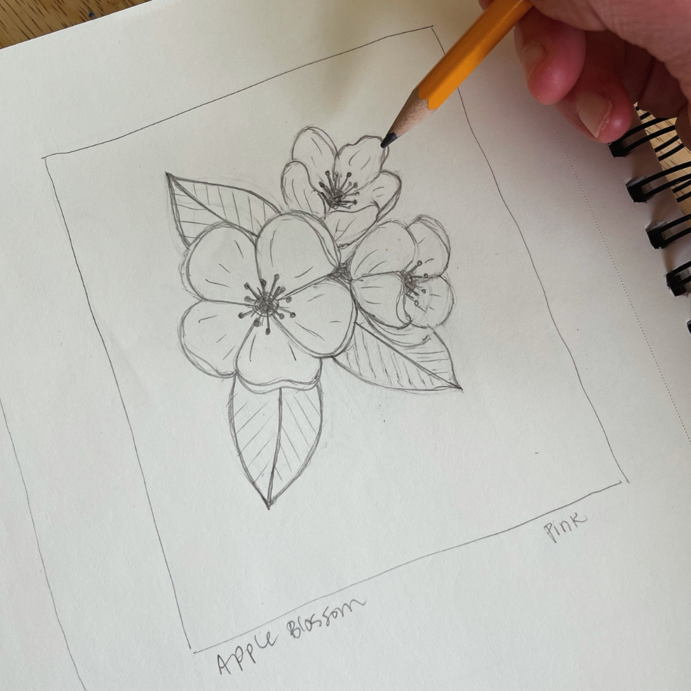 apple blossom sketch on paper